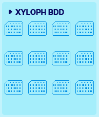 Xyloph complétement contacté (12/12)